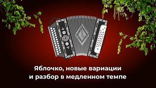 Яблочко, игра на гармошке с новыми вариациями, + разбор в медленном темпе как многие просили)