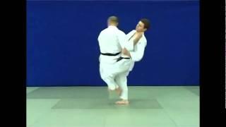 Judo - Harai-goshi-gaeshi