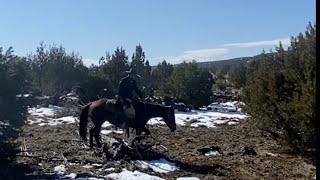 Brandon’s First Rising K Ranch Trail Ride