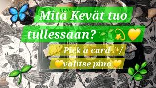 KEVÄT Mitä uusia mahdollisuuksia/ovia avautuu?  Pick a card