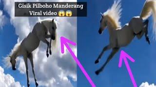 Wow Gisik Pilboho Manderang Viral video tolama bebema la video