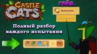 Castle Cats | Гайд по ежедневным испытаниям | Что выполнять?