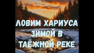 Ловим хариуса зимой в таёжной реке.