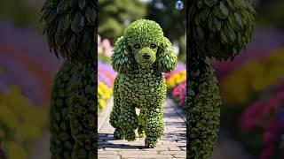 Dogs + Gemstones Part-8