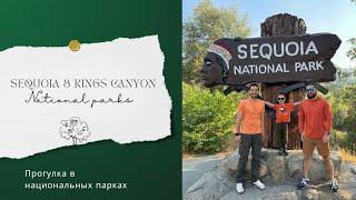 Прогулка в Sequoia National Park и Kings Canyon