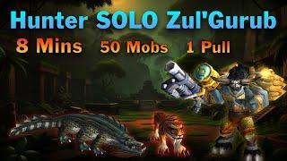 Ultimate Zul'Gurub Hunter Farm (One-Pull, 7-8 Mins, 50 Mobs) | WoW Classic SOD Phase 5