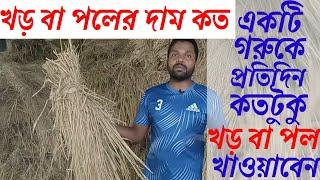 খড়ের দাম কত# একটি গরুকে দিনে কতটুকু খড় খাওয়াবেন#খড় খাওয়ানোর সঠিক নিয়ম # khamar plus-খামার প্লাস# খড়