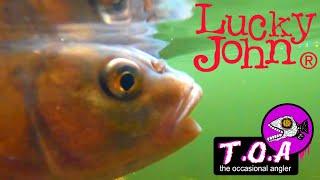 BFS CHUB LURE FISHING LUCKY JOHN