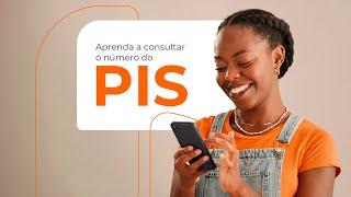 Número do PIS pelo CPF - Aprenda como consultar 2024