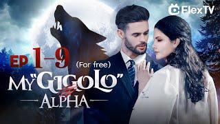 FULL|“My Gigolo Alpha”_A girl falls in love with a werewolf EP1-9 #Flextv #shortdrama