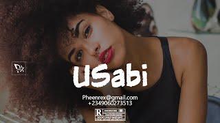 [Free] Afro Pop Beat Instrumental 2023 " USABI " (Omah Lay #Pheenrex Type Beat)
