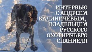 Интервью с Андреем Калиничевым, владельцем русского охотничьего спаниеля Орхана