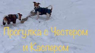 Прогулка с Честером и Каспером