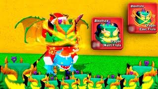 QUANTAS DRAGONS EU CONSIGO EM 1 HORA NO BLOX FRUITS