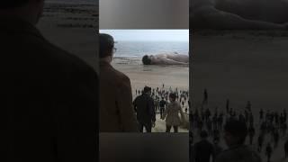 A Giant Appears on a Small Town Beach #shorts #viral