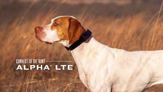 Garmin Alpha LTE | Cellular Dog Tracker