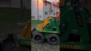 Arborist Work with a Kanga Mini Loader