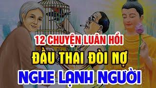 12 Chuyện Nhân Quả Phật Giáo, Về LUÂN HỒI ĐẦU THAI Đòi Nợ Ai Nghe Cũng LẠNH NGƯỜI ... Sợ Khiếp Vía