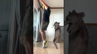 Обучение тренду: ИХВИЛЬНИХТ | ICH WILL NICHT DANCE TUTORIAL | ТАНЕЦ ВОЛКА ОБУЧЕНИЕ #ихвильнихт