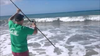 Espinete Surfcasting (NEW RECORD)berrugato(GIGANTE XxL) Grauvell Teklon