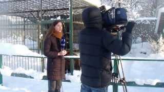 Первый канал в Центре "Велес"