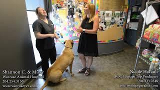Local Business of the Week - Winrose Animal Hospital