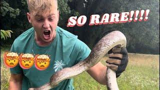 WHY Is He SO Excited Over a SNAKE??!