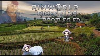 Rimworld Ricefields Experience