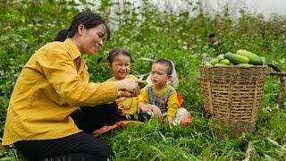 Exciting Moments: Harvesting Cucumbers and Completing the Bathroom | Lý Thị Thơm