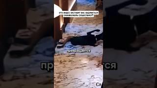 Скинволкеры существуют?