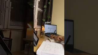 Study with me till the candle dies ️| Alena Jacob #studyvlog #finalsweek #examvlog