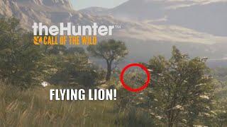 theHunter: COTW lion hunting with the 470 in a nutshell