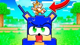 What's Inside Sonic's Head in Minecraft?