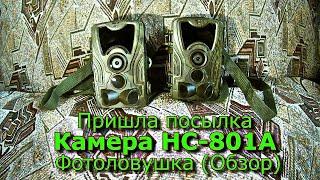 Пришла посылка с Алиэкспресс 2 Камеры HC-801A Фотоловушка Обзор.