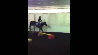 Lainey Ashker Clinic 2014 Hehmi and Pony