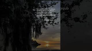 MƏN SƏNİN QƏLBİNƏ NECƏ YOL TAPIM | ZƏLİMXAN YAQUB | #ədəbiyyat #şeir #şeirlər #baku  #zəlimxanyaqub