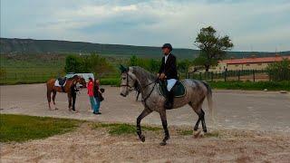 Show jumping on hippodrome Lisi. Tbilisi.