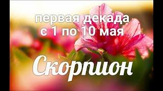 СКОРПИОН  с 1 по 10 мая 20211/Таро-прогноз/Таро-Гороскоп Скорпион/Taro_Horoscope Scorpiо.