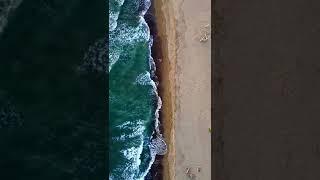 Una camminata sulla spiaggia - Marina di Alberese