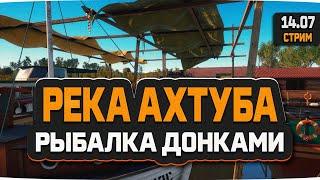 Русская Рыбалка 4 — Стрим на реке Ахтуба.