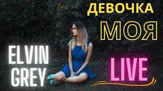 Elvin Grey - Девочка моя концерт выступление в Ташкенте живой звук LIVE