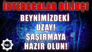 BEYNİMİZDEKİ UZAY! İNTERSCALAR BİLİNÇ! | Mukaddes Pekin Başdil & Ozan Partal