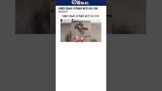 야말의 호날두 저격설이 말 안 되는 이유