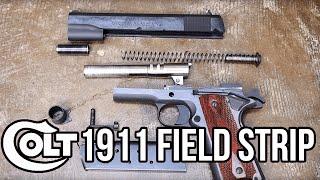 Colt 1911 Field Strip