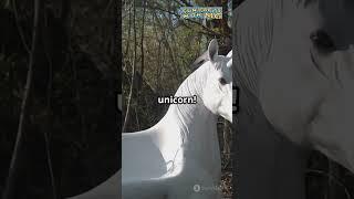 National Animal Is a Unicorn – The Fascinating Story Behind This Mythical Symbol!" #facts
