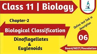 Biological Classification | Dinoflagellates | Euglenoids | Protista | Class 11 | Biology | Chapter 2