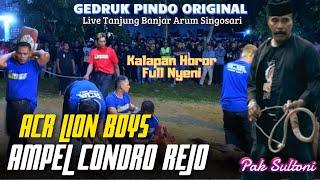 Terbaru‼️Kalapan ACR LION BOYS Full Obrak Abrik Kalangan‼️Live Tanjung Singosari,,