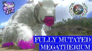 FULLY MUTATED MEGATHERIUM!! | Mutations Evolved | ARK Survival Evolved Mobile