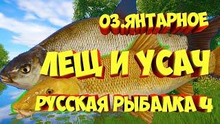 русская рыбалка 4 - Лещ Усач Янтарное озеро - рр4 фарм Алексей Майоров