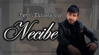 Ferid Ehmedzade - Necibe 2024